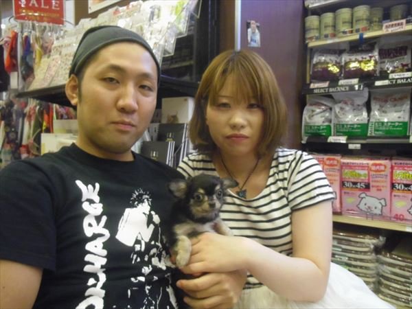 写真