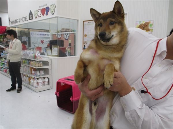 写真