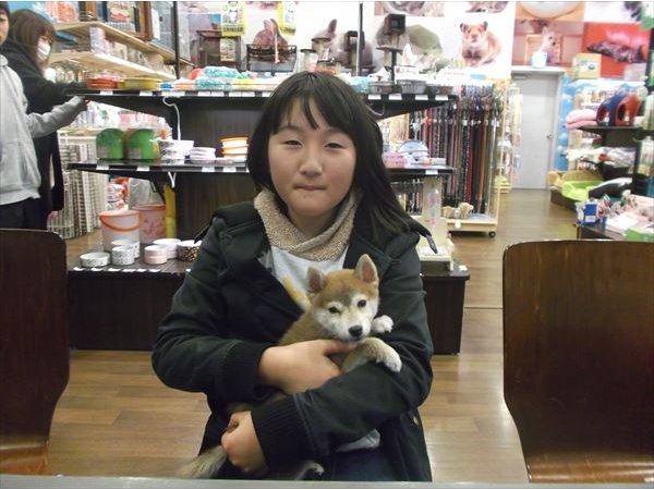 写真