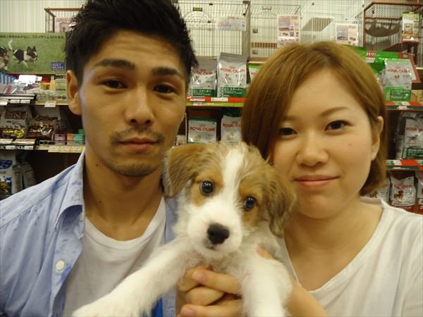 写真