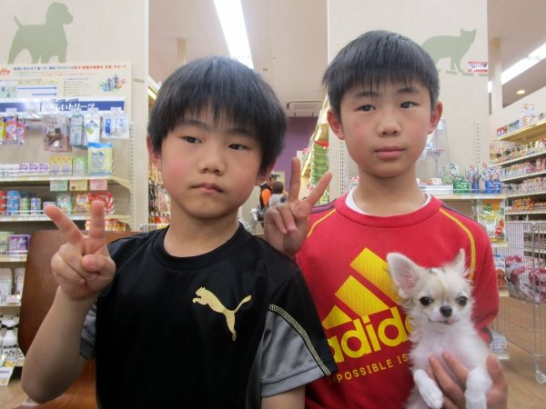 写真
