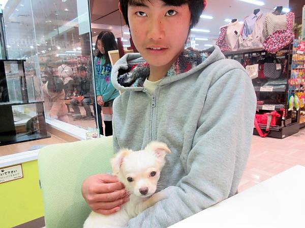 写真