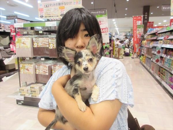 写真