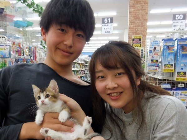 写真