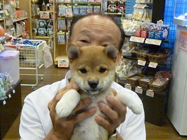 写真