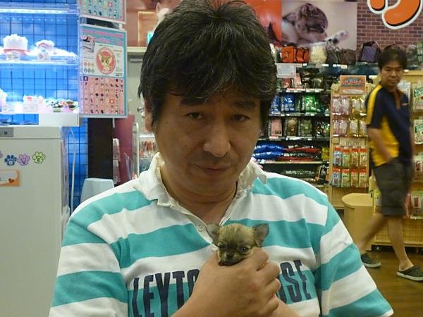 写真