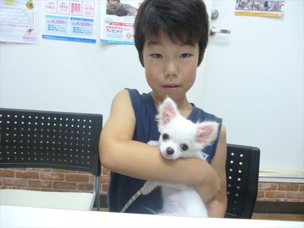 写真
