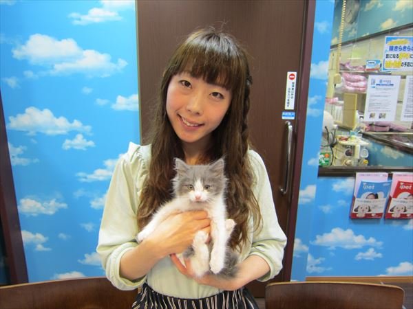 写真
