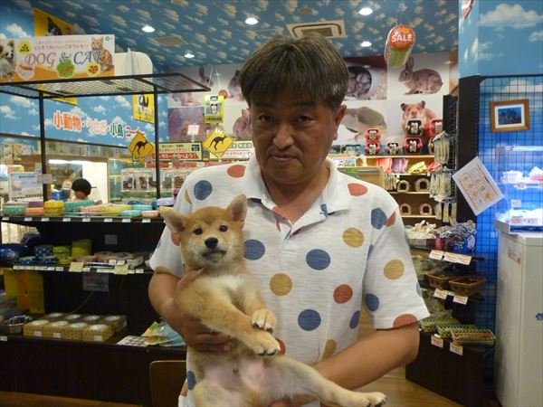 写真