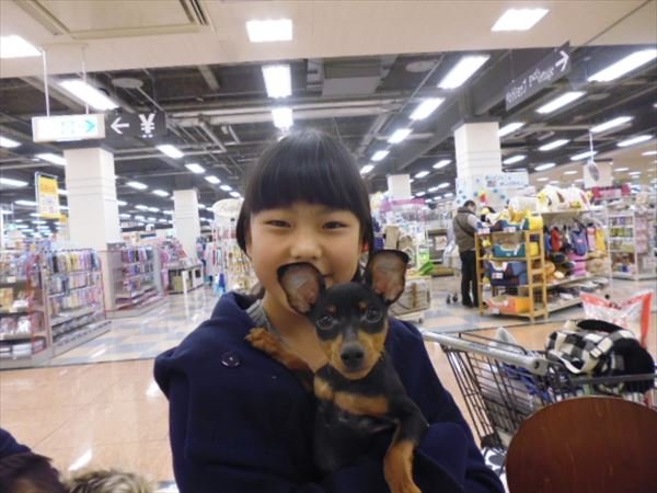 写真