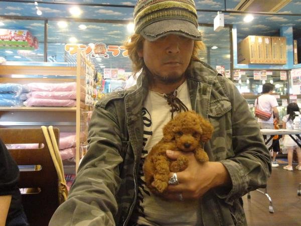 写真