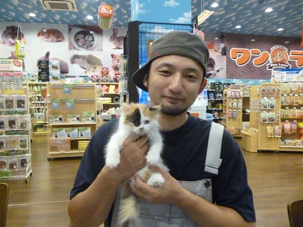 写真