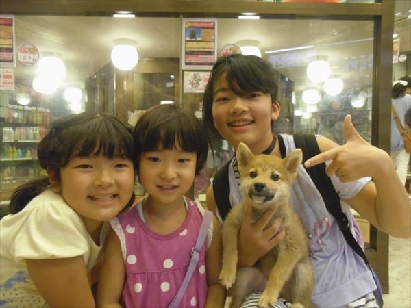 写真
