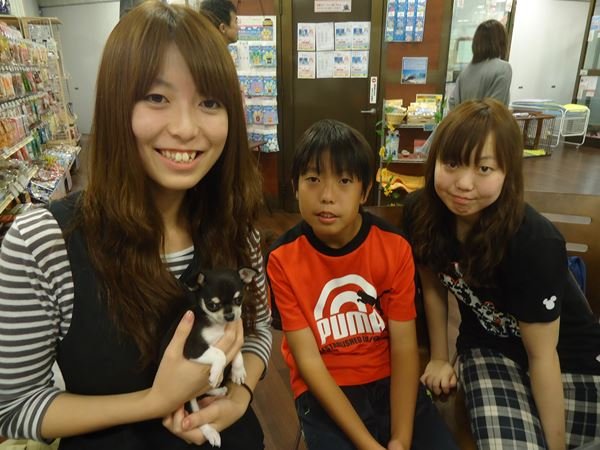 写真