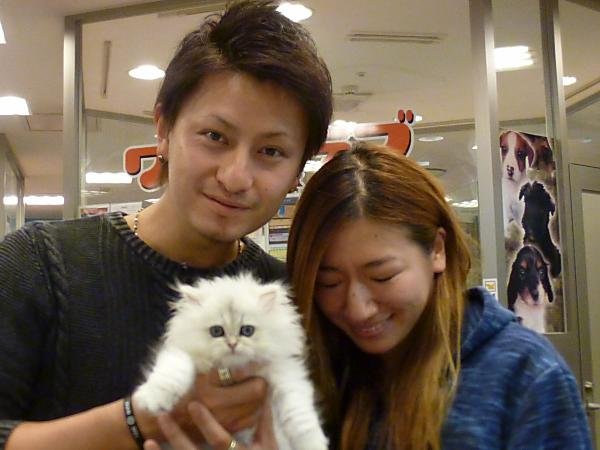 写真