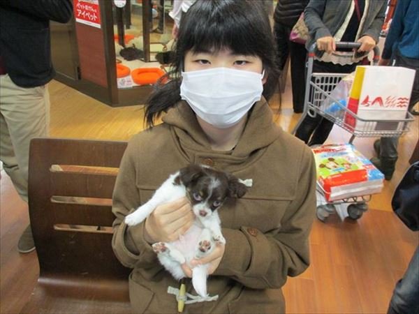 写真