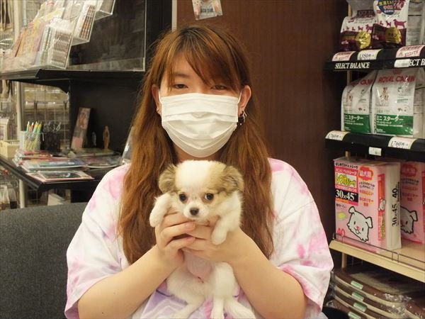 写真