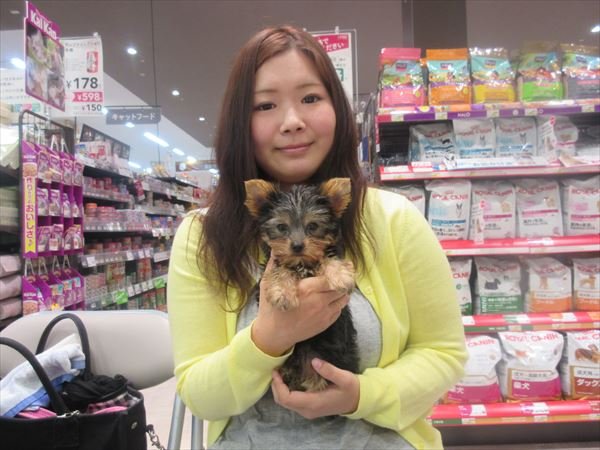 写真