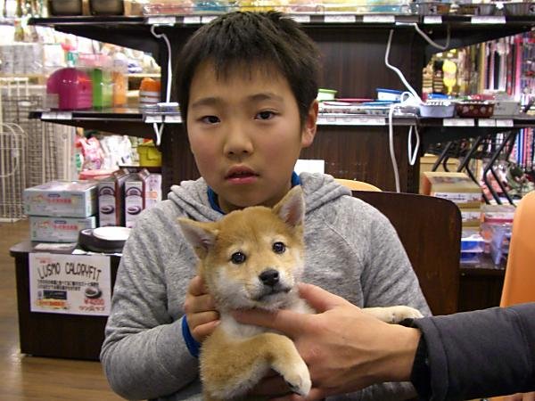写真