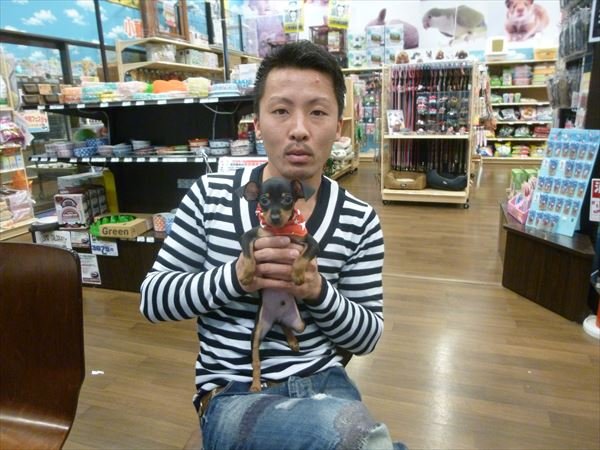 写真