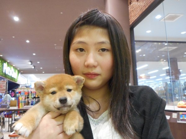 写真