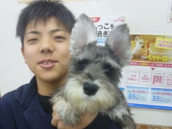 写真