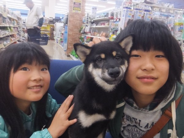 写真