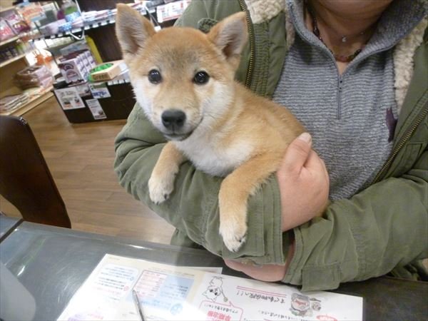 写真