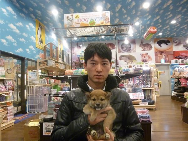 写真