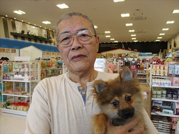 写真