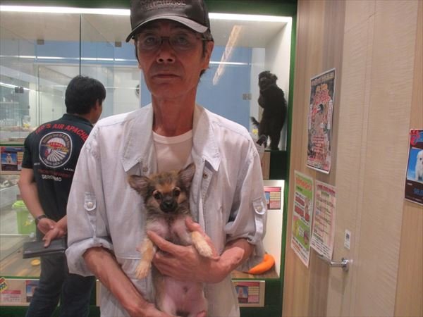 写真