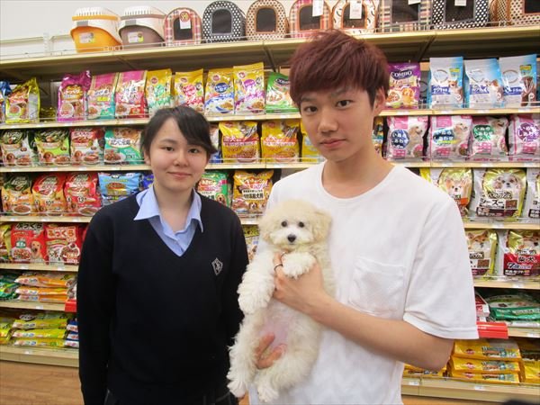 写真