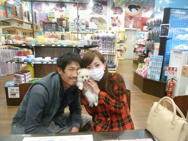 写真