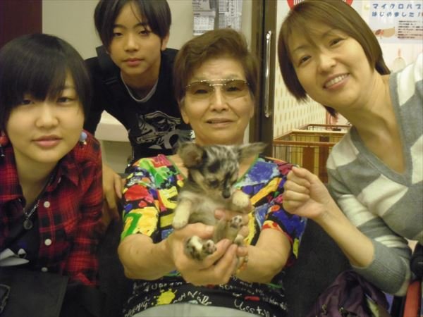 写真