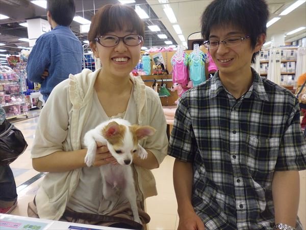 写真
