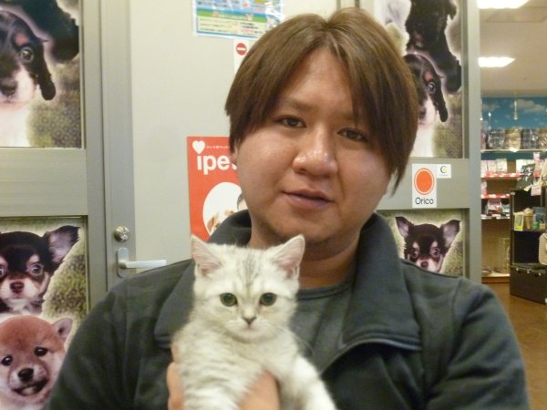 写真