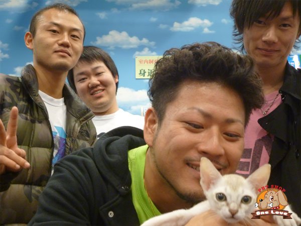 写真