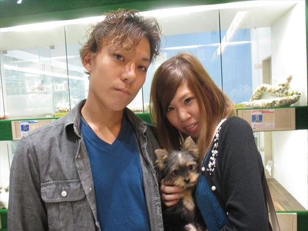 写真