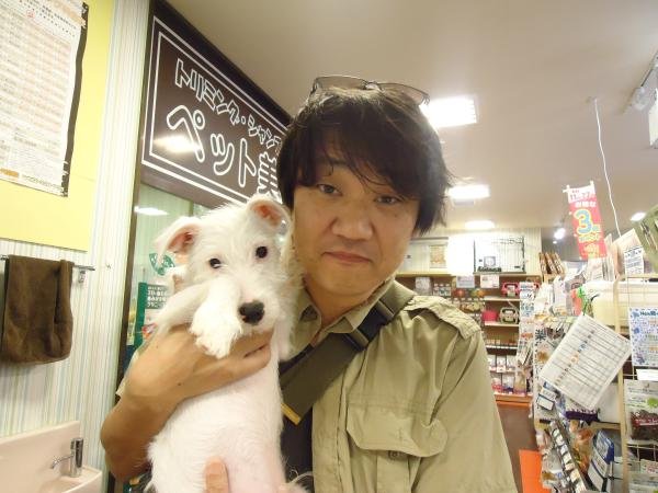 写真