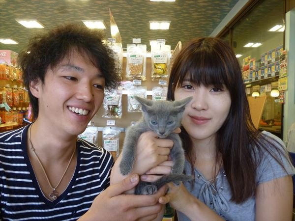写真