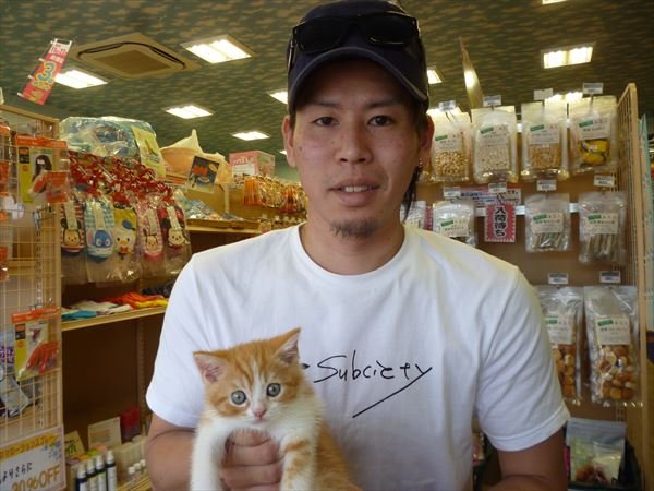 写真