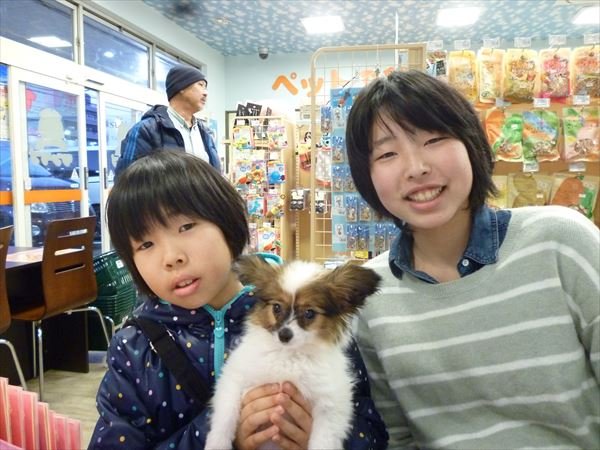 写真