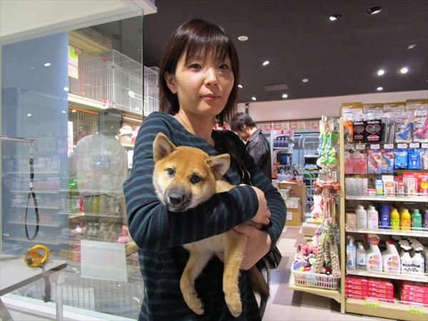 写真