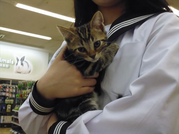 写真