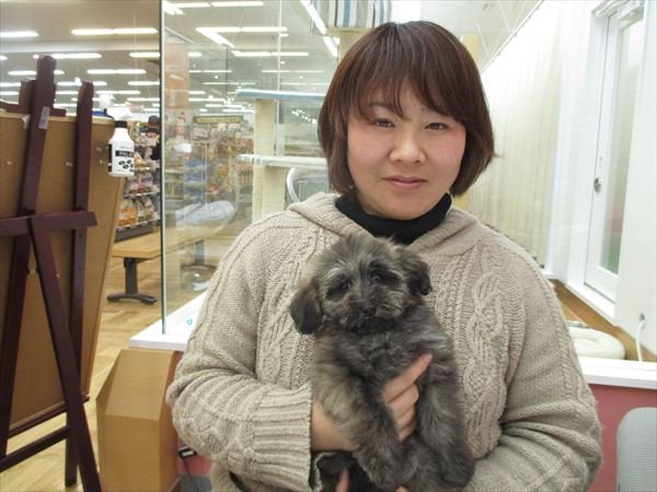 写真