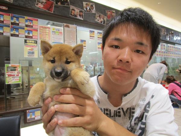 写真