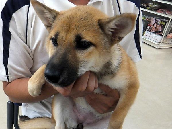 写真