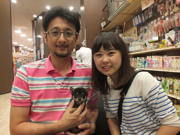 写真