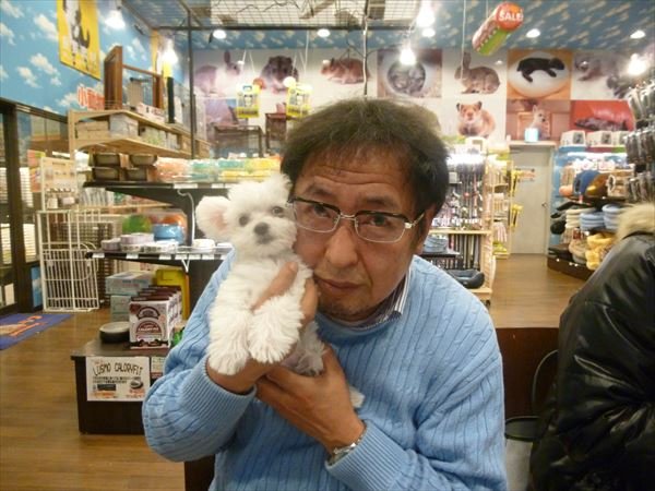 写真