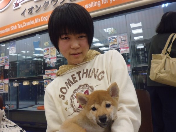写真